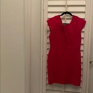 BCBG stretchy bodice dress Fuschia